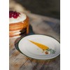 Lashuma Colourful Ceramic Plate, Small, Serving Plate Set for 4