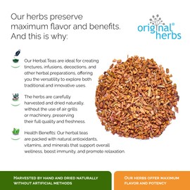 MADDER ROOT TEA, (RUBIA TINCTORUM L.) - 100% Pure & Natural, Wild-Crafted, Loose Leaf Herbal Tea - 50g (1.76oz) - Original Herbs Herbal Tea