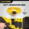 Champion Power Equipment 25-Foot 30-Amp 125/250-Volt Fan-Style Generator Extension Cord