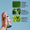 Bondi Boost Treatment Trio Bundle