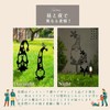 Archnote Gardening Goods, Garden Objects, Garden Objects, Garden Picks, Garden