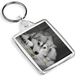 Beautiful Siberian Husky Keyring - IP02 - Dog Puppy Alaskan Malamute #8636