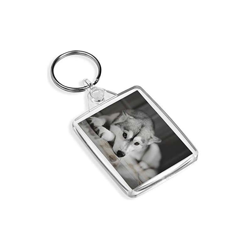 Beautiful Siberian Husky Keyring - IP02 - Dog Puppy Alaskan