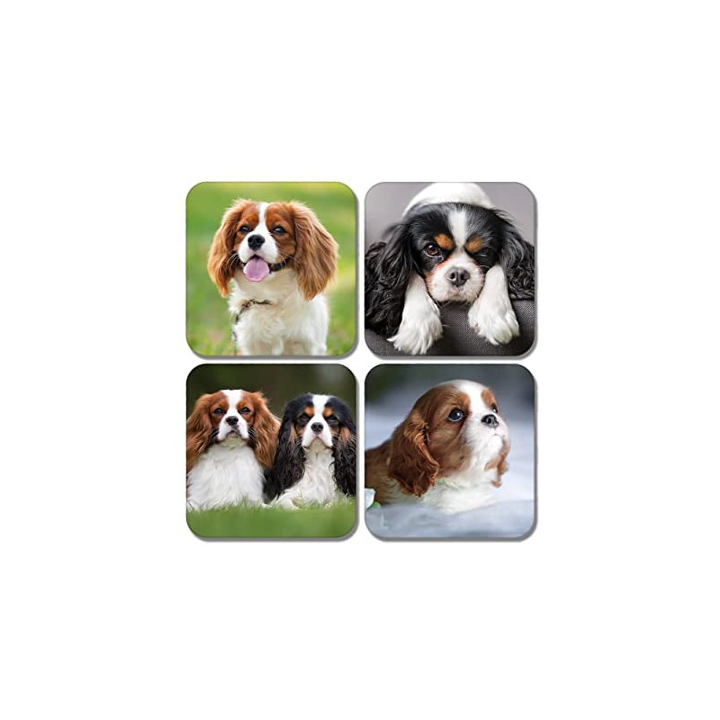 4 x Square Cavalier King Charles Spaniel Coasters - Pets
