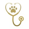 Stethoscope with Paw Print 9 inch Gold Indoor Outdoor Vinyl