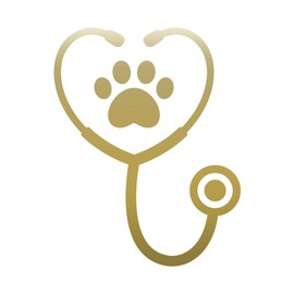 Stethoscope with Paw Print 9 inch Gold Indoor Outdoor Vinyl Decal