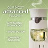 Air Wick Plug in Scented Oil Refill, 2ct, Hawaii, Essential
