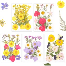 Gugxiom Flores Prensadas Secas para Resina, 5 Bolsas de 100 Piezas de Flores Prensadas, 5 Temas de Colores, Flores Secas para Arte de Uñas, Resina, Diseño de Joyería de (Tipo 7)