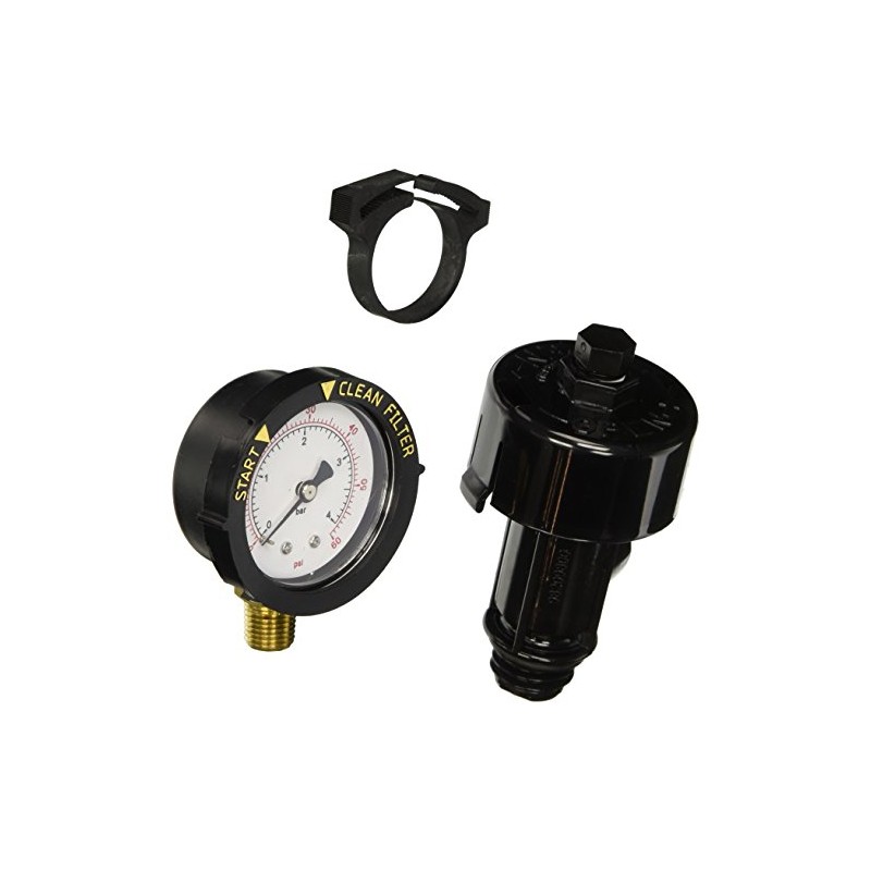 Pentair 98209800 High Flow Manual Relief Valve Replacement Pool and