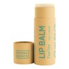 Noosa Basics Organic Lip Balm - Paw Paw, 15g
