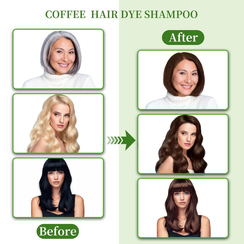 SHIHUANUO Hair Dye Shampoo 3 in 1 for Gray Hair