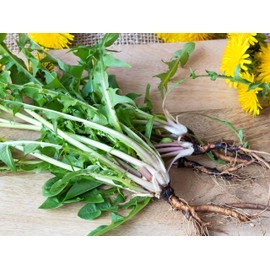 Cedar Bear Kidney & Bladder Blend a Liquid Herbal Supplement That Soothes, Tonifies and Supports Proper Fluid Dynamics for The Bladder and Urinary System 1 Fl Oz