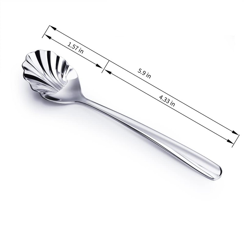 Csinos 304 Stainless Steel Spoon Shell Shape Flatware Spoon Dessert