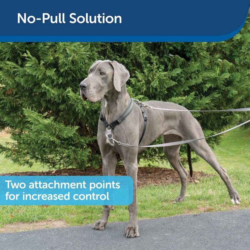 PetSafe 3 in 1 Harness with Two Point Control Leash