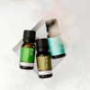 ECO. Modern Essentials Fight the Flu Essential Oil Trio, 3