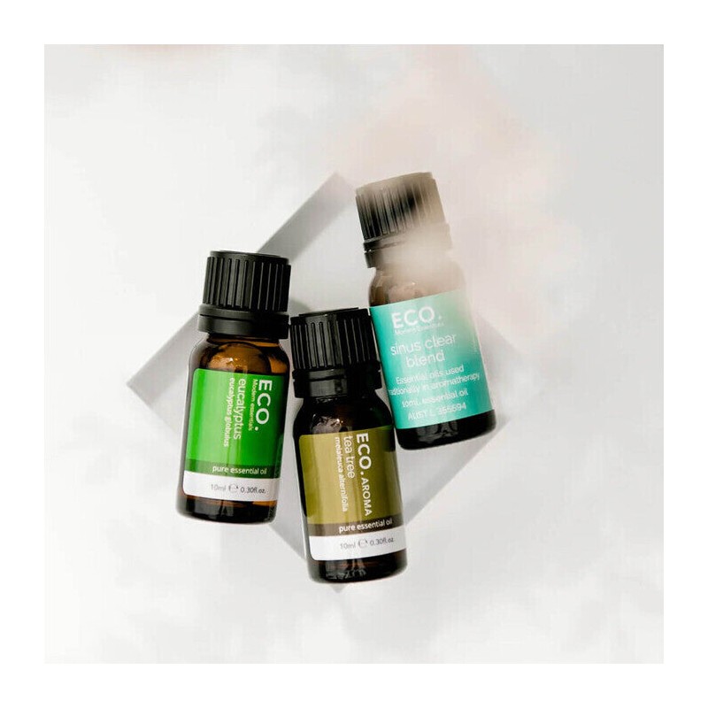 ECO. Modern Essentials Fight the Flu Essential Oil Trio, 3