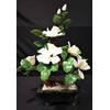 CFC White Jade Bonsai Flowers 99-3a