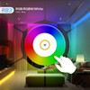 BTF-LIGHTING RB3 Wireless 2.4G RF 4 Zone RGB RGBW Remote