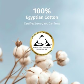 California Design Den Luxury 100% Egyptian Cotton Pillowcases King Size Set of 2 - Crisp Percale, Soft & Breathable Bed Pillow Cases - Light Grey