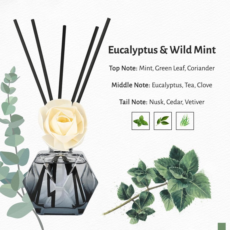 Brakula Reed Diffuser Set, 6.09 fl oz (180 ml)-Eucalyptus &