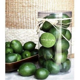 Artificial Faux Fake Fruit Lime