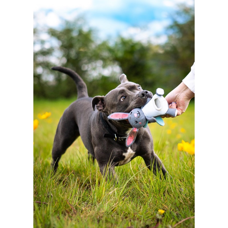 Rosewood Flingerz Rabbit Dog Toy Launcher - Interactive Fetch Toy