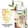 Pantene Pro-V Nourishing Shampoo, Coconut Milk & Shea Butter, 38.2