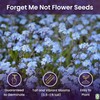 Forget Me Not Seeds - 5000 Flower Seeds - Perennial