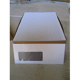 Generic #10 Business Security Envelopes Left Window 4-1/8 x 9.5 Inch 500 Gummed