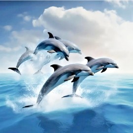 Fashion Jewelry Unique DOLPHINS GROUP OCEAN SEA Pendant on 925 Plated Silver 20" 22" Necklace