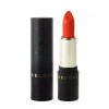 H Plus Mall [에이치플러스몰]입술에 닿는 순간 글로시한 광택감 립스틱 201호 [H-Plus Mall] Glossy Shine Lipstick No. 201 that Touches the Lips
