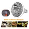 E27 Far Infrared Heating Lamp Heat Lamp Bulb Heating Night