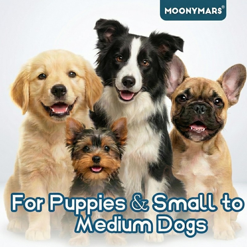 MoonyMars Small Dog Toothbrush, Puppy & Cat Tooth Brushing Kit,