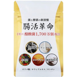  Intestinal Revolution New Habits of Bacteria and Enzymes Supplement Butyric Acid Bacterium Bifidobacterium 31 days supply