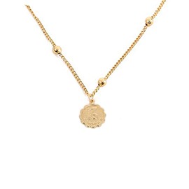 Women Gold 12 Constellation Zodiac Necklace Dainty Horoscope Sign Pendant Necklace Birthday Gifts For Her Jewelry (capricornus)