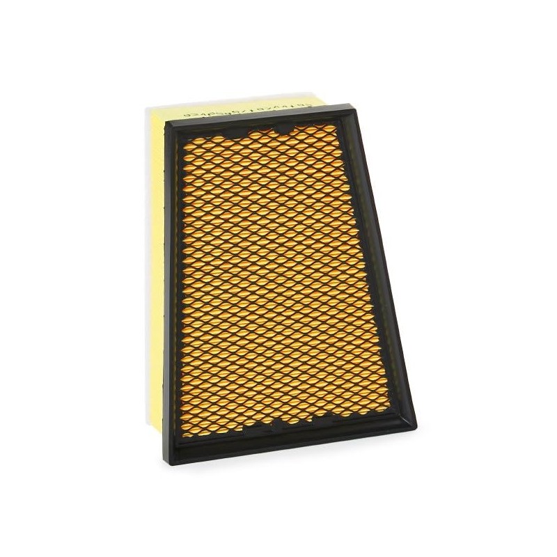 RIDEX PLUS 8A0251P Engine Air Filter || Air Filter Insert,