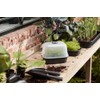 Elho Green Basics Propagation Bowl S – Vivid Black –