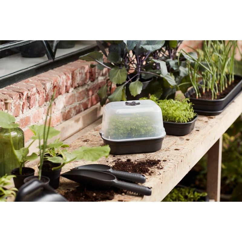 Elho Green Basics Propagation Bowl S – Vivid Black –