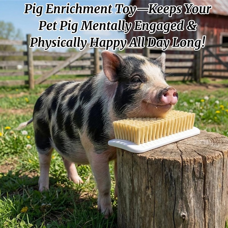 Toys for Pigs - 3-Pack Interactive Grooming Brushes | Pig