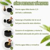 Matcha Kit, Juego de Matcha de Cuatro Piezas, Batidor de