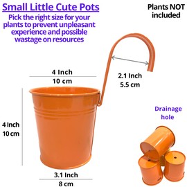 LaLaGreen Small Hanging Planters - 10 Pack, 4 Inch Black Metal Bucket Small Flower Pots for Outdoor Outside, Balcony Railing Hanging, Cute Garden Decor Rail Wall Farmhouse Rustic Deck Porch Succulent