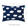 Toddler Pillow for Sleeping, Kid Pillow 14" x 19" for