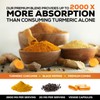 Turmeric Curcumin Supplement 2600mg - 95% Curcuminoids with Organic Turmeric