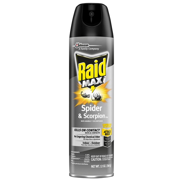Raid Spider and Scorpion Killer, Kills spiders, scorpions, roaches, ants, Waterbugs, earwigs, 12 Oz