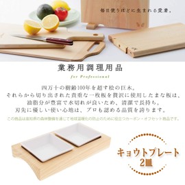 TOSARYU キョウトプレート2皿