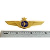 Airlines Pilot Wings Captains Badge Wing Pin