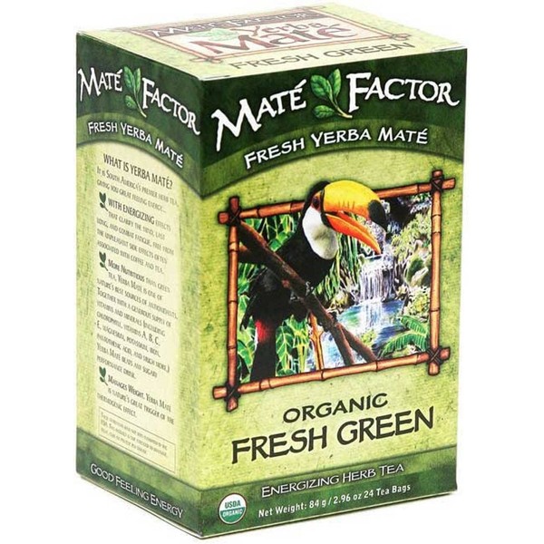 The Mate Factor Yerba Mate Energizing Herb Tea Bags, Organic Fresh Green, 24-Count Boxes (Pack of 3)