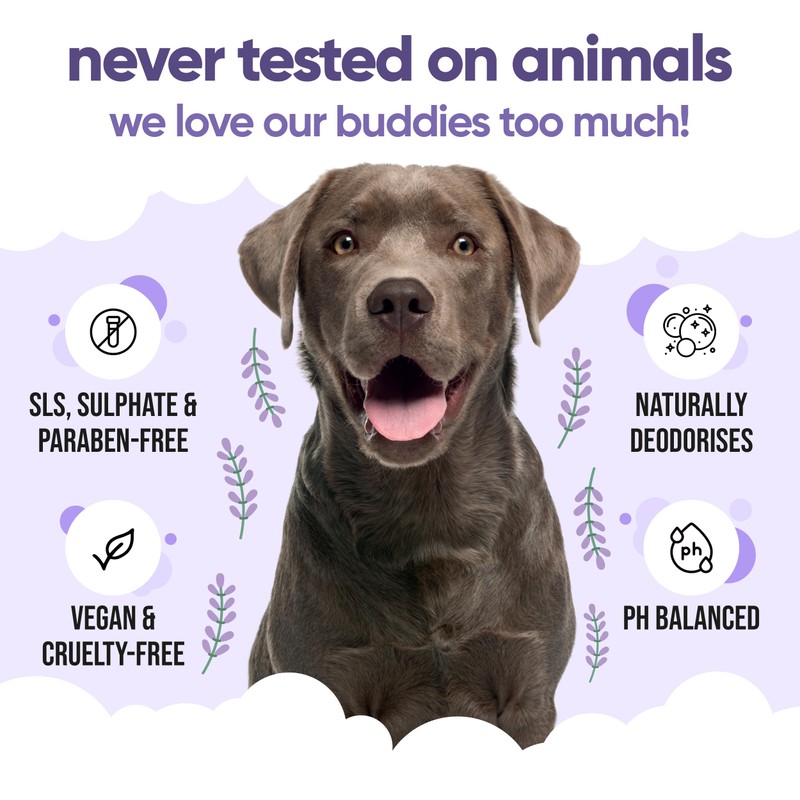 Calming & Deodorising Dog Shampoo by Buddycare | Lavender Scented