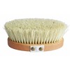 Lilywoods Professional Body Brush Bath W/Extra Stiff Cactus Bristles Hand