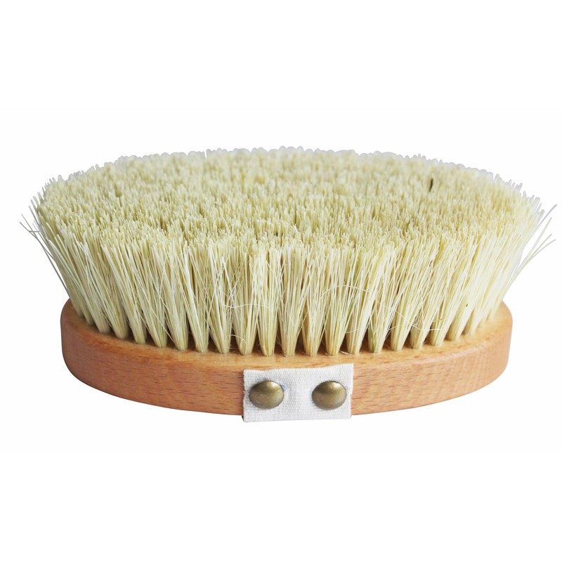 Lilywoods Professional Body Brush Bath W/Extra Stiff Cactus Bristles Hand
